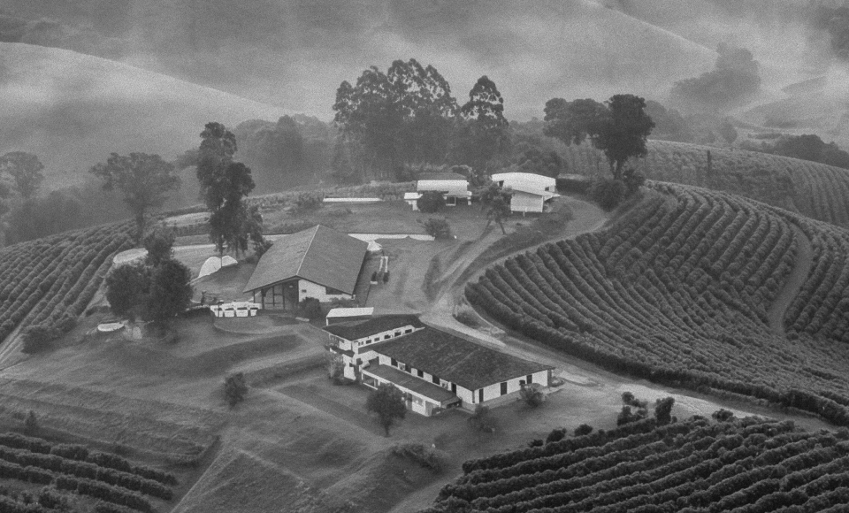 Uma pequena fazenda no Espírito Santo. O lar de gerações de uma família de produtores brasileiros